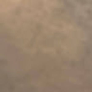 Meet your Posher, George